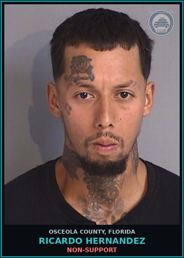 Booking mugshot of RICARDO HERNANDEZ in Osceola County