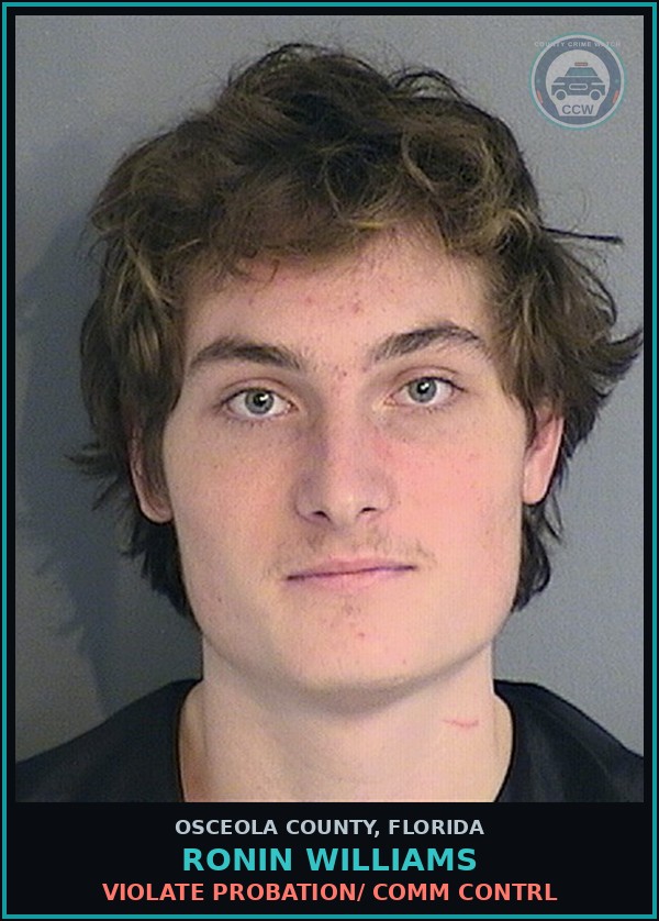 Booking mugshot of RONIN WILLIAMS in Osceola County