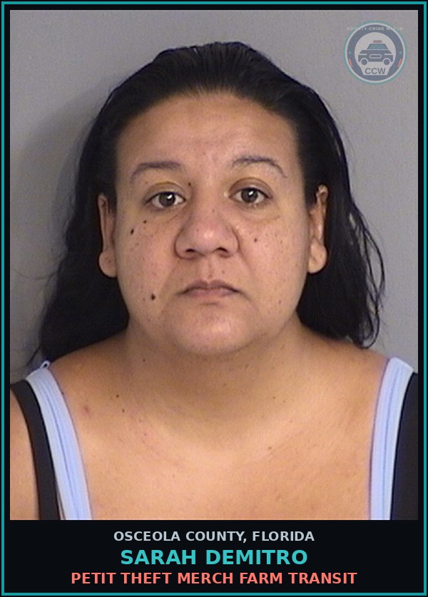 Booking mugshot of SARAH DEMITRO in Osceola County