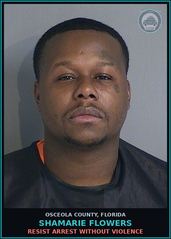 Booking mugshot of SHAMARIE FLOWERS in Osceola County