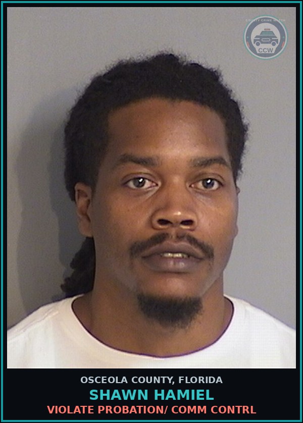 Booking mugshot of SHAWN HAMIEL in Osceola County