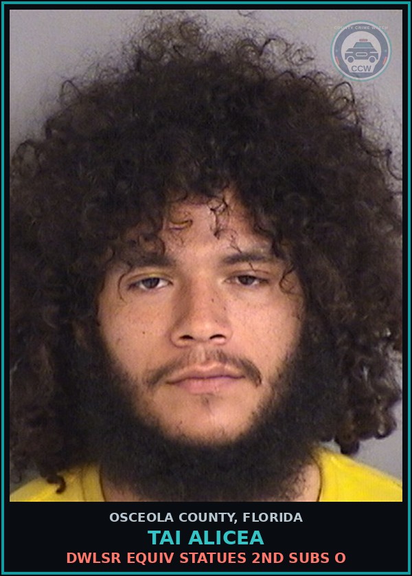 Booking mugshot of TAI ALICEA in Osceola County