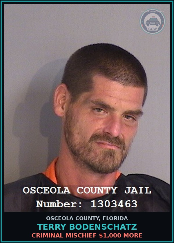 Booking mugshot of TERRY BODENSCHATZ in Osceola County