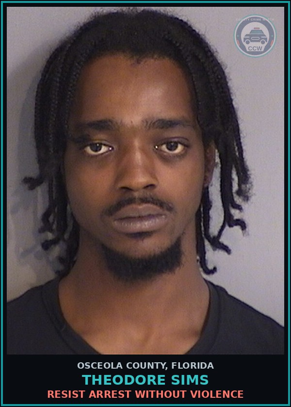 Booking mugshot of THEODORE SIMS in Osceola County