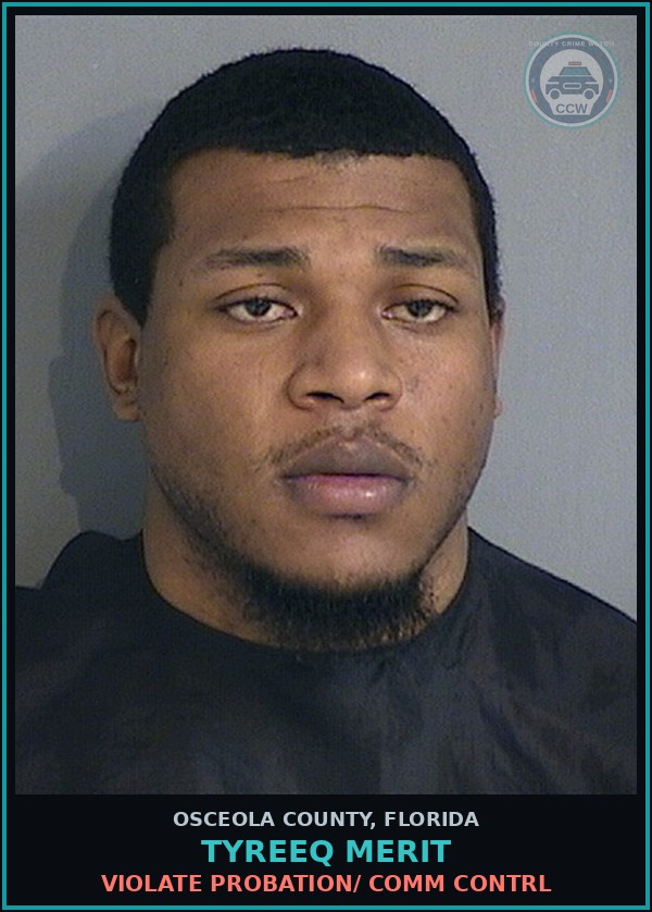 Booking mugshot of TYREEQ MERIT in Osceola County