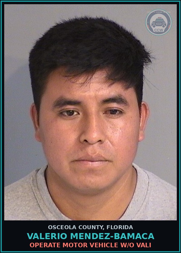 Booking mugshot of VALERIO MENDEZ-BAMACA in Osceola County