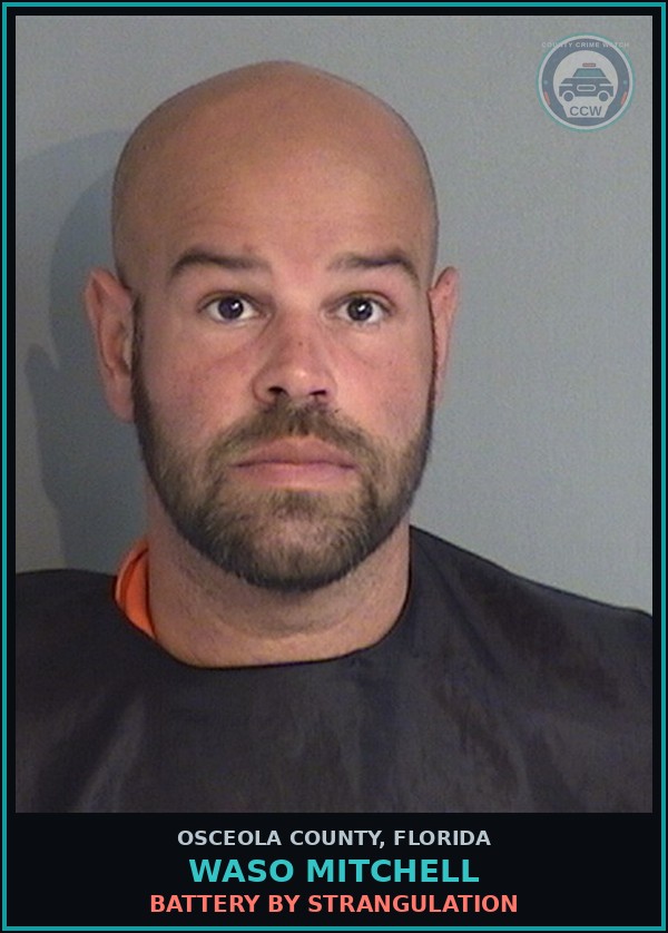 Booking mugshot of WASO MITCHELL in Osceola County