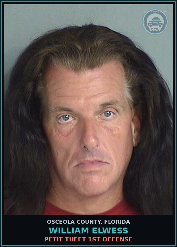 Booking mugshot of WILLIAM ELWESS in Osceola County