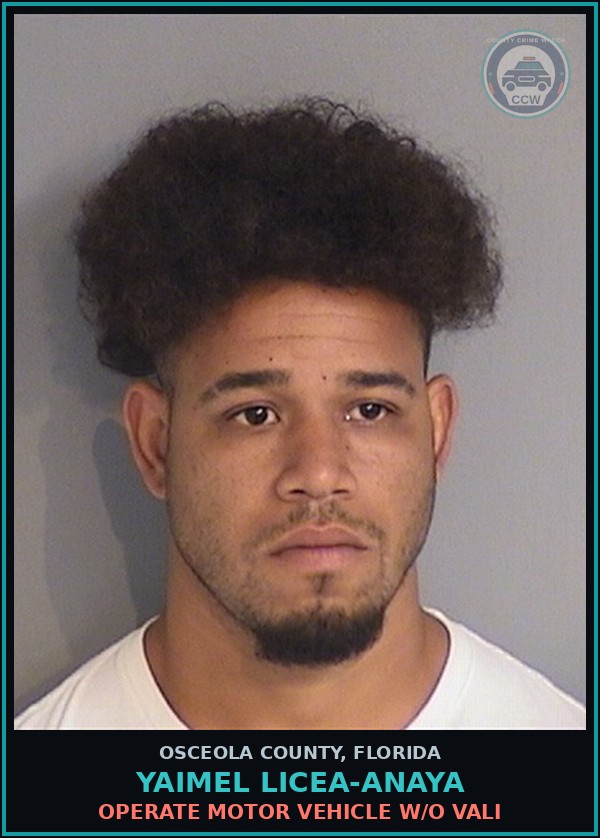 Booking mugshot of YAIMEL LICEA-ANAYA in Osceola County