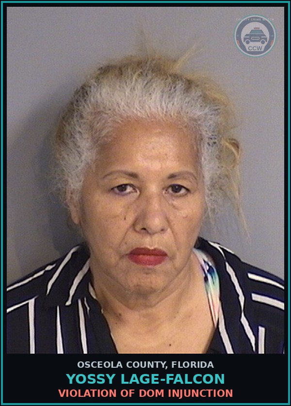 Booking mugshot of YOSSY LAGE-FALCON in Osceola County