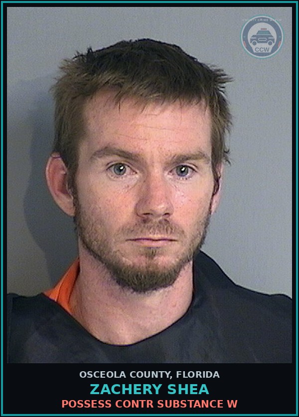 Booking mugshot of ZACHERY SHEA in Osceola County
