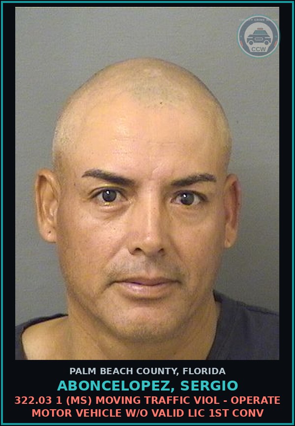 Booking mugshot of ABONCELOPEZ, SERGIO in Palm Beach County