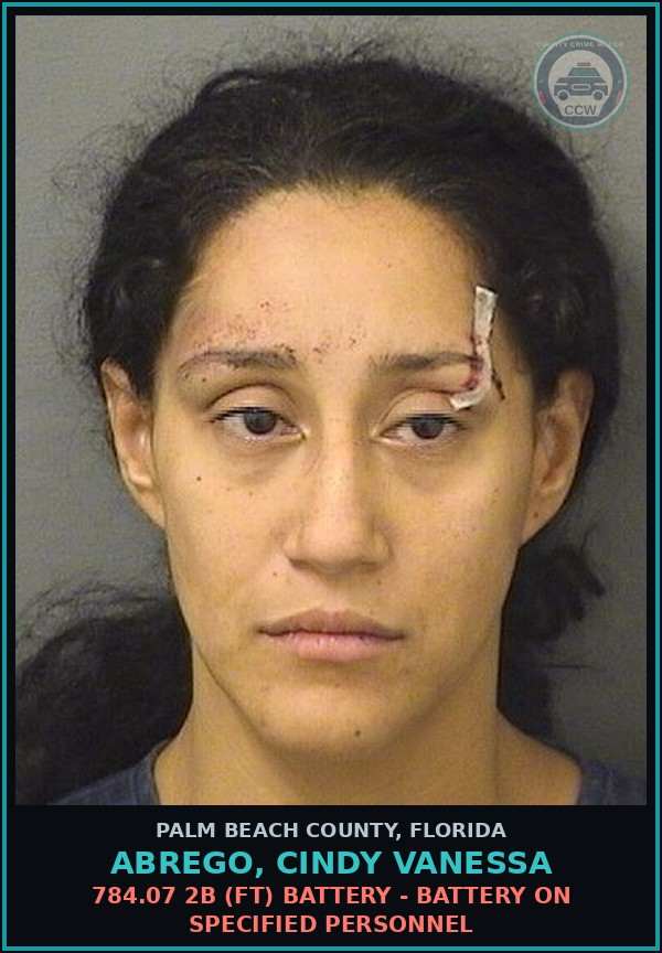 Booking mugshot of ABREGO, CINDY VANESSA in Palm Beach County