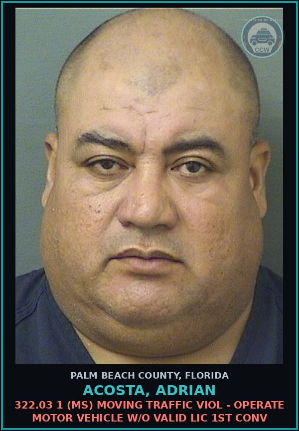 Booking mugshot of ACOSTA, ADRIAN in Palm Beach County