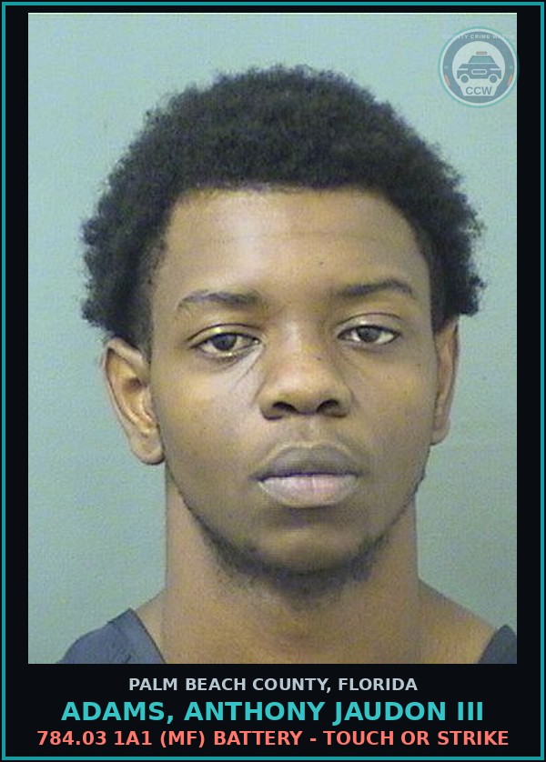 Booking mugshot of ADAMS, ANTHONY JAUDON III in Palm Beach County