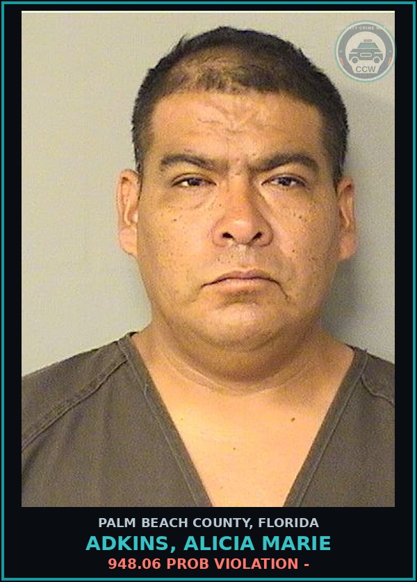 Booking mugshot of ADKINS, ALICIA MARIE in Palm Beach County
