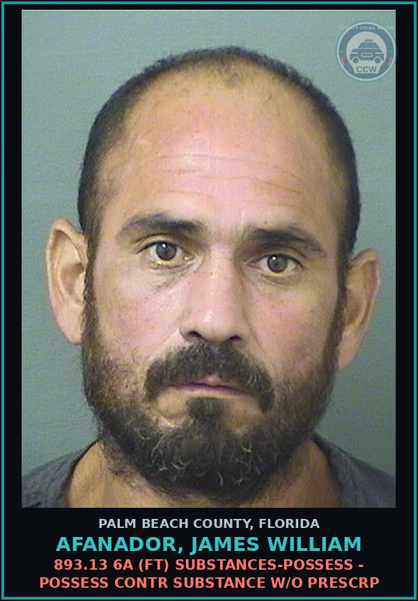 Booking mugshot of AFANADOR, JAMES WILLIAM in Palm Beach County