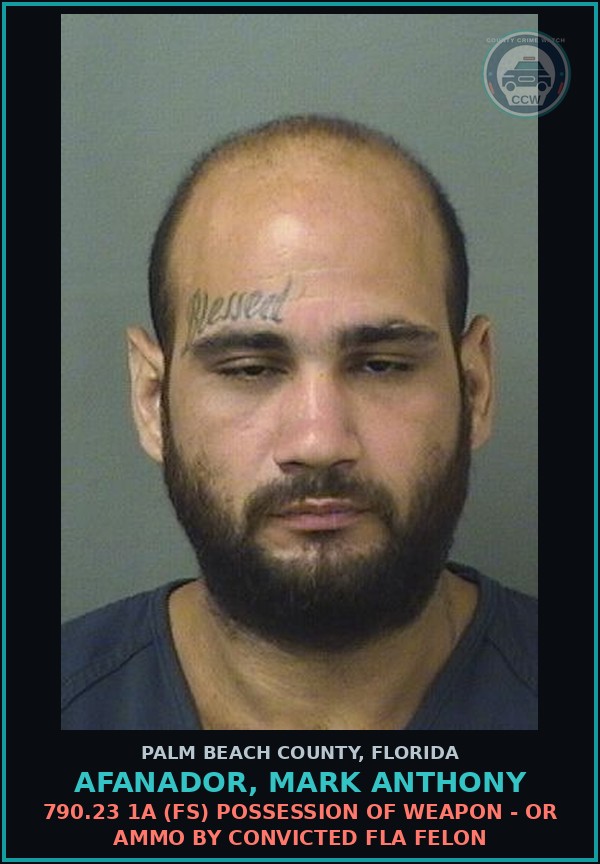 Booking mugshot of AFANADOR, MARK ANTHONY in Palm Beach County