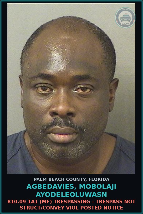 Booking mugshot of AGBEDAVIES, MOBOLAJI AYODELEOLUWASN in Palm Beach County