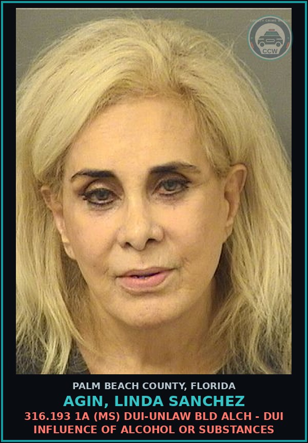 Booking mugshot of AGIN, LINDA SANCHEZ in Palm Beach County