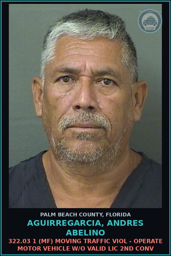 Booking mugshot of AGUIRREGARCIA, ANDRES ABELINO in Palm Beach County