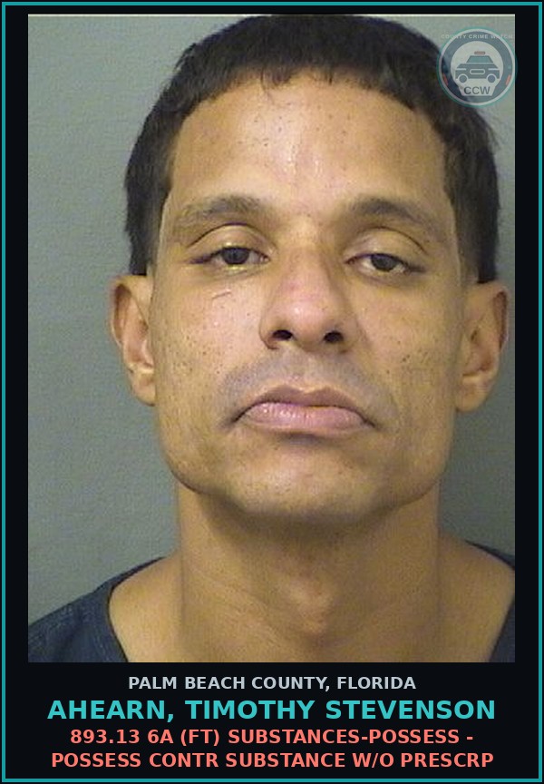 Booking mugshot of AHEARN, TIMOTHY STEVENSON in Palm Beach County