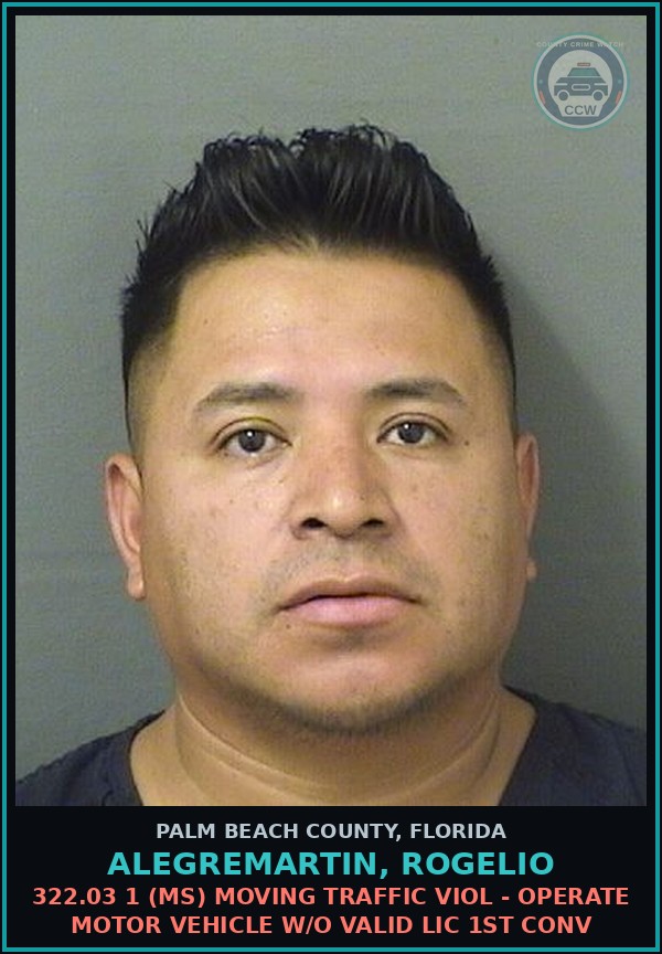 Booking mugshot of ALEGREMARTIN, ROGELIO in Palm Beach County
