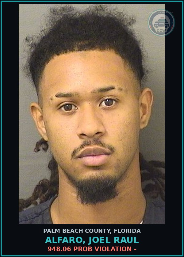 Booking mugshot of ALFARO, JOEL RAUL in Palm Beach County