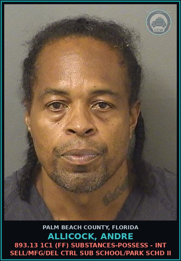 Booking mugshot of ALLICOCK, ANDRE in Palm Beach County