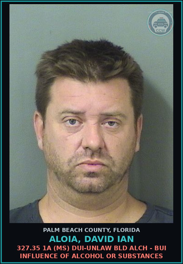 Booking mugshot of ALOIA, DAVID IAN in Palm Beach County