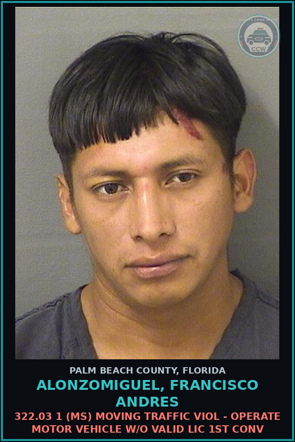 Booking mugshot of ALONZOMIGUEL, FRANCISCO ANDRES in Palm Beach County