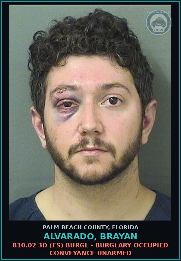 Booking mugshot of ALVARADO, BRAYAN in Palm Beach County