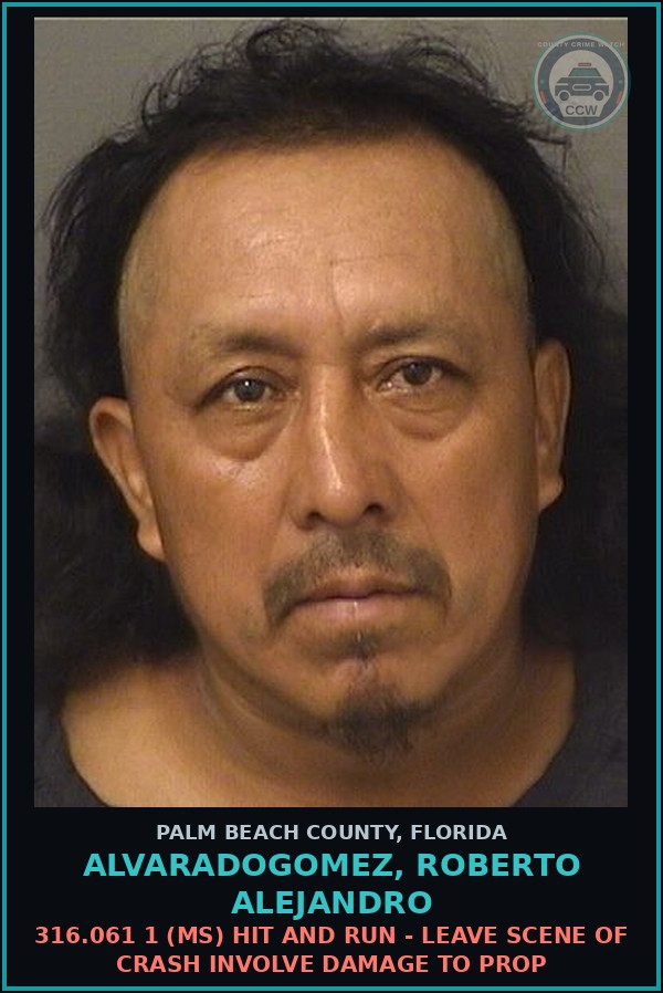 Booking mugshot of ALVARADOGOMEZ, ROBERTO ALEJANDRO in Palm Beach County