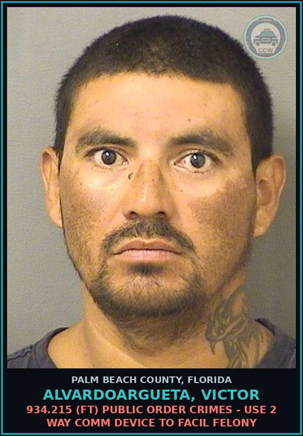 Booking mugshot of ALVARDOARGUETA, VICTOR in Palm Beach County