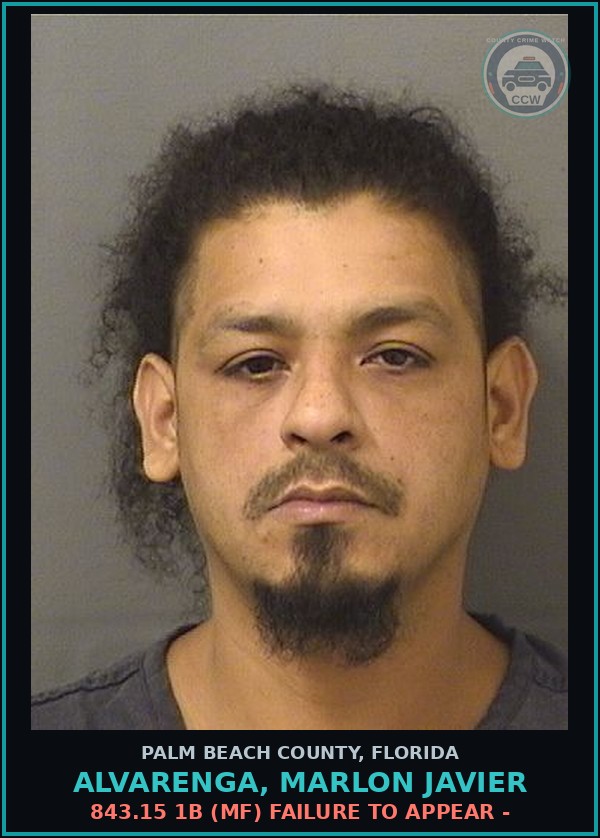 Booking mugshot of ALVARENGA, MARLON JAVIER in Palm Beach County