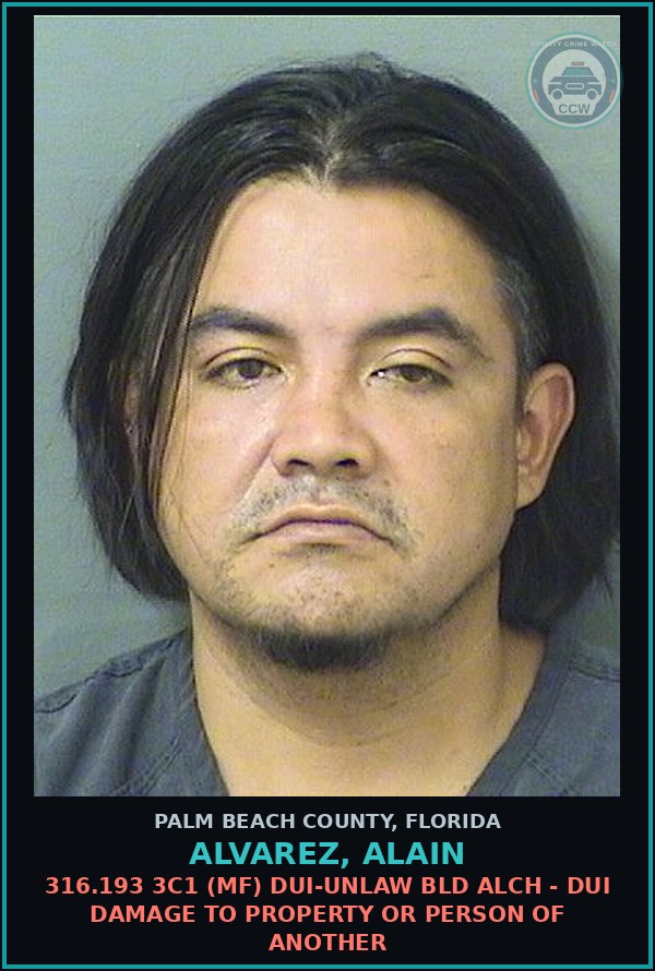 Booking mugshot of ALVAREZ, ALAIN in Palm Beach County