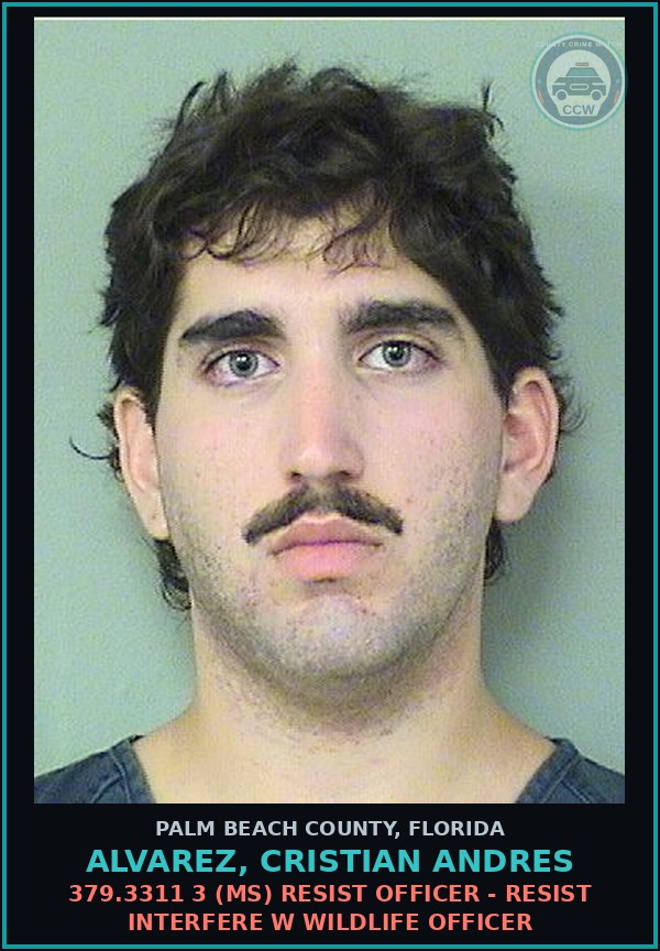 Booking mugshot of ALVAREZ, CRISTIAN ANDRES in Palm Beach County