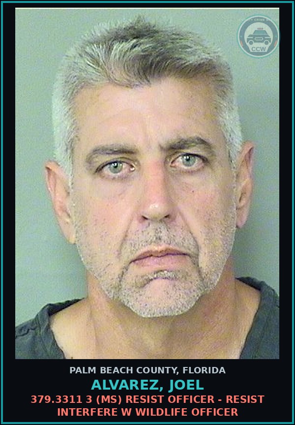 Booking mugshot of ALVAREZ, JOEL in Palm Beach County