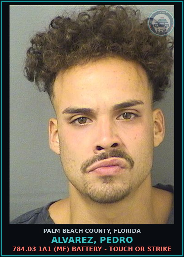 Booking mugshot of ALVAREZ, PEDRO in Palm Beach County