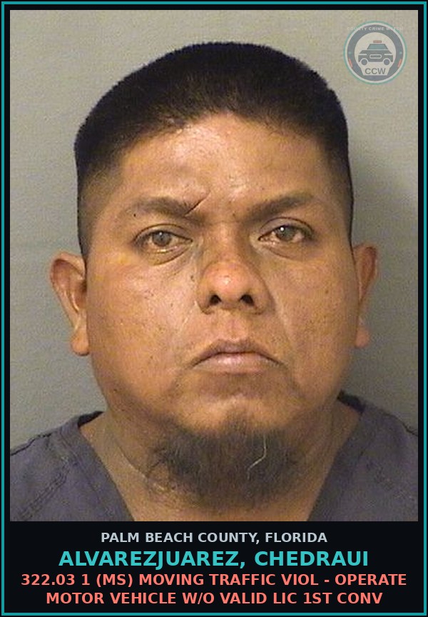 Booking mugshot of ALVAREZJUAREZ, CHEDRAUI in Palm Beach County