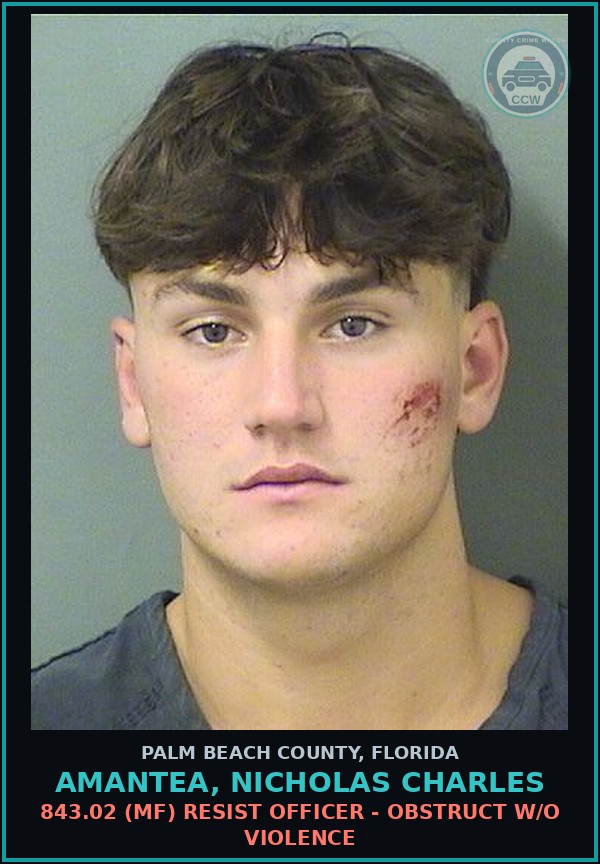 Booking mugshot of AMANTEA, NICHOLAS CHARLES in Palm Beach County