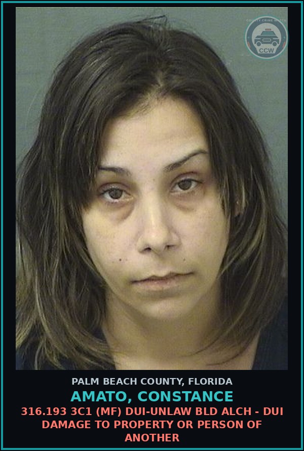 Booking mugshot of AMATO, CONSTANCE in Palm Beach County