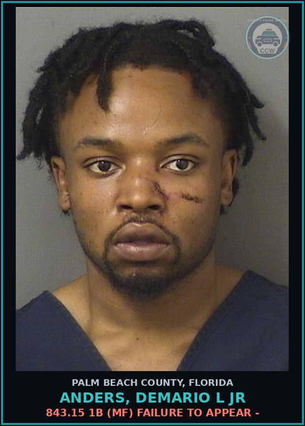 Booking mugshot of ANDERS, DEMARIO L Jr in Palm Beach County