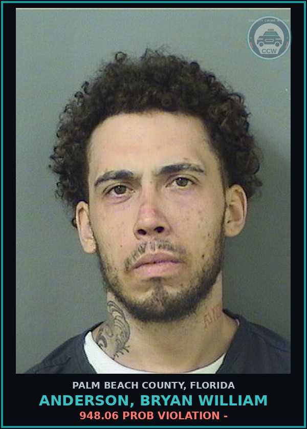 Booking mugshot of ANDERSON, BRYAN WILLIAM in Palm Beach County