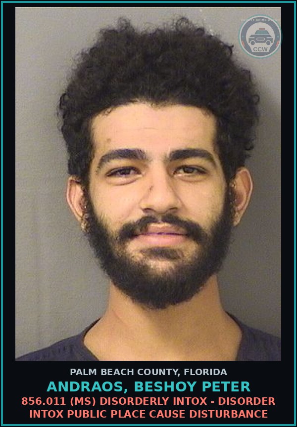 Booking mugshot of ANDRAOS, BESHOY PETER in Palm Beach County