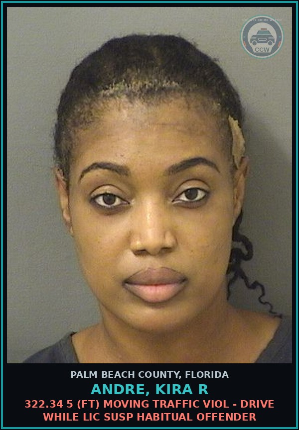 Booking mugshot of ANDRE, KIRA R in Palm Beach County