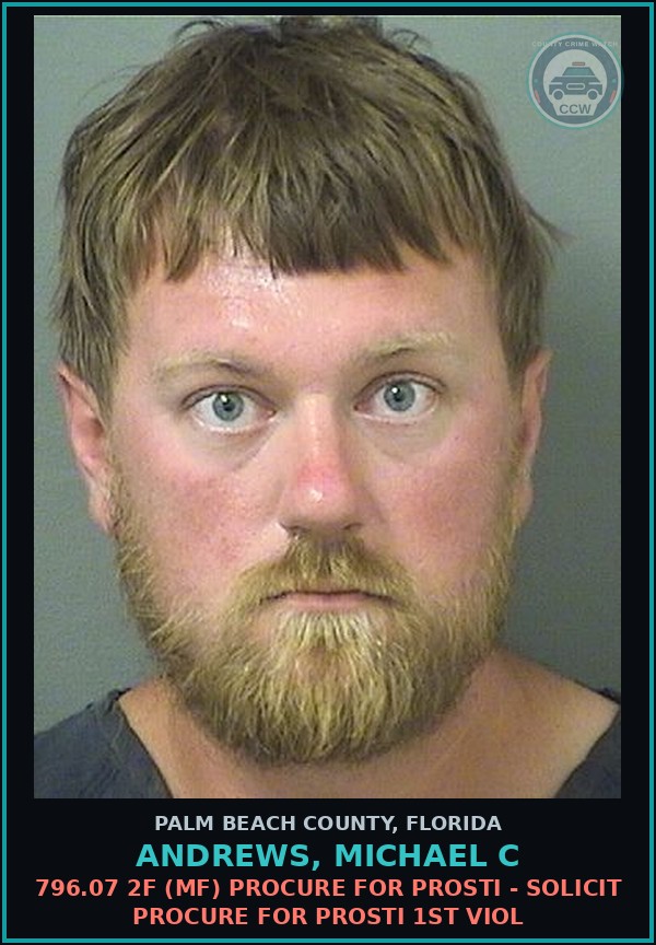 Booking mugshot of ANDREWS, MICHAEL C in Palm Beach County