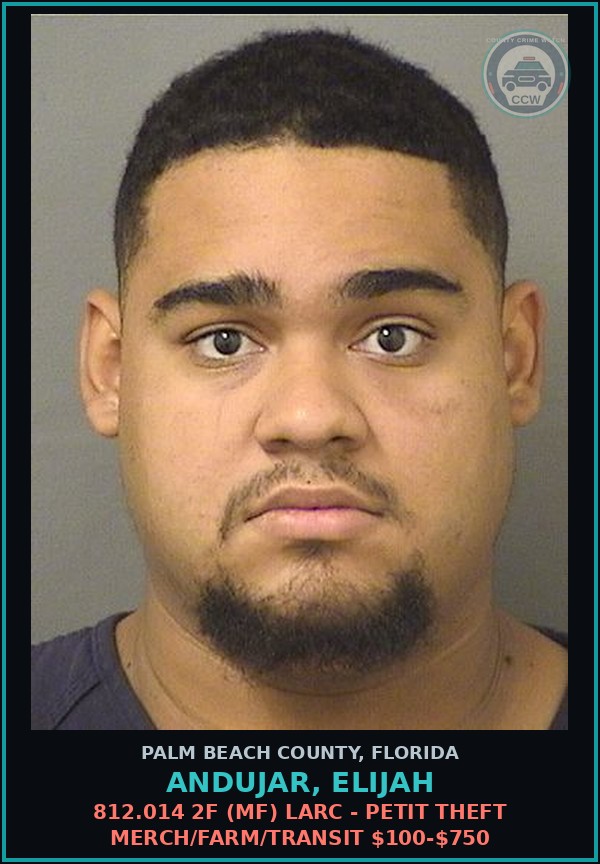 Booking mugshot of ANDUJAR, ELIJAH in Palm Beach County