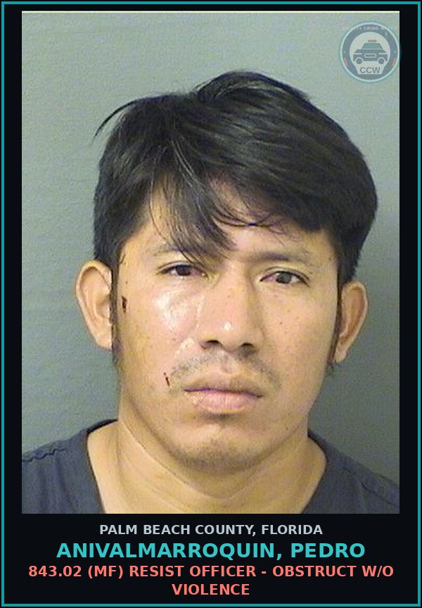 Booking mugshot of ANIVALMARROQUIN, PEDRO in Palm Beach County