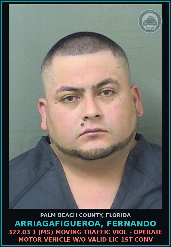 Booking mugshot of ARRIAGAFIGUEROA, FERNANDO in Palm Beach County